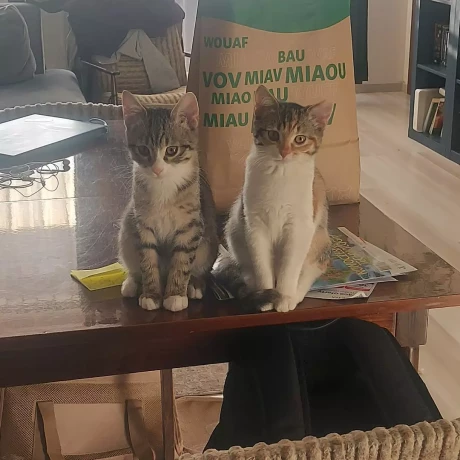 Szukam: Aleksandra S.