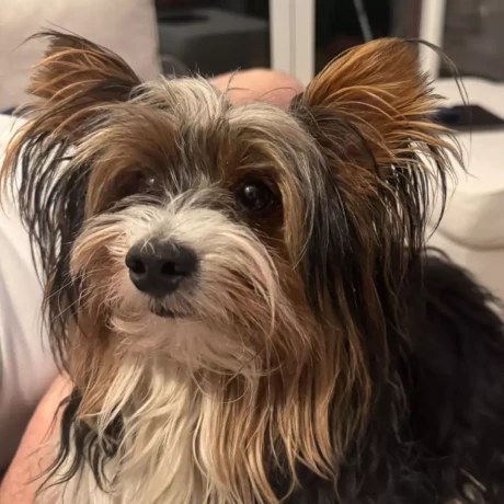 Szukam: Katarzyna K.