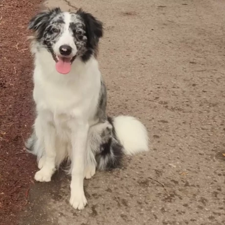 Szukam: Radosław A.