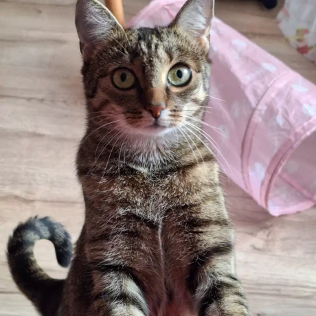 Szukam: Agnieszka K.