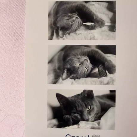 Szukam: 